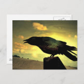 Black Raven Postkarte (Vorne/Hinten)