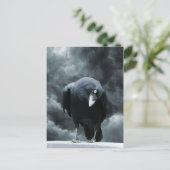 Black Raven Postkarte (Stehend Vorderseite)