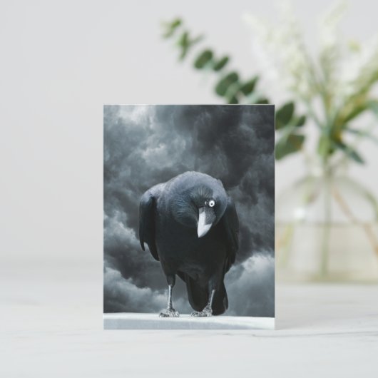 Black Raven Postkarte (Stehend Vorderseite)