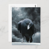 Black Raven Postkarte (Vorne/Hinten)