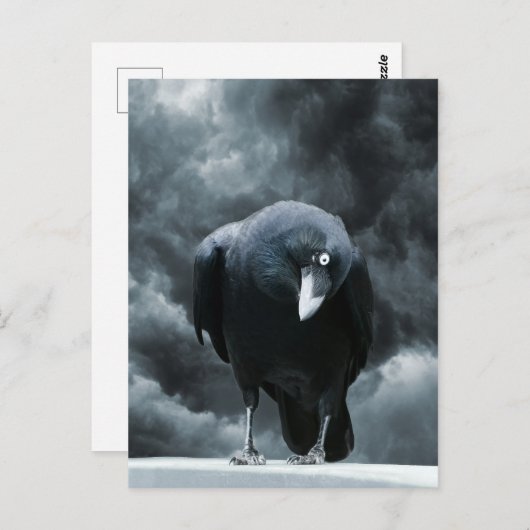 Black Raven Postkarte (Vorne/Hinten)