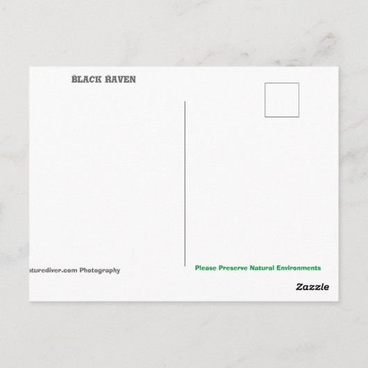 Black Raven - Postkarte (Rückseite)