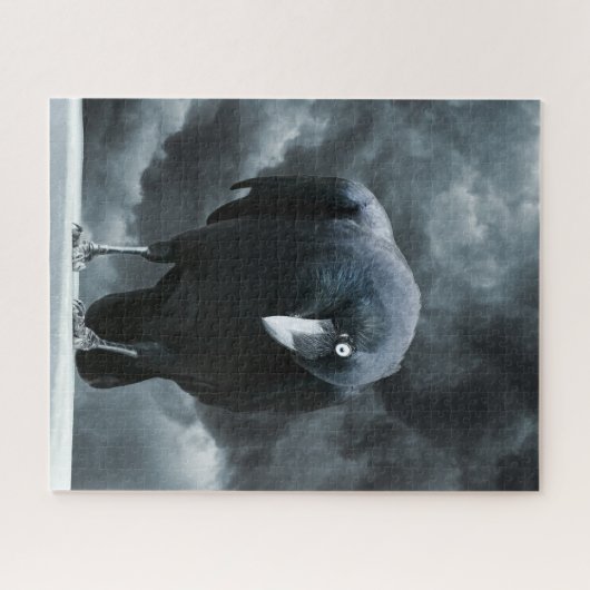 Black Raven Puzzle (Horizontal)