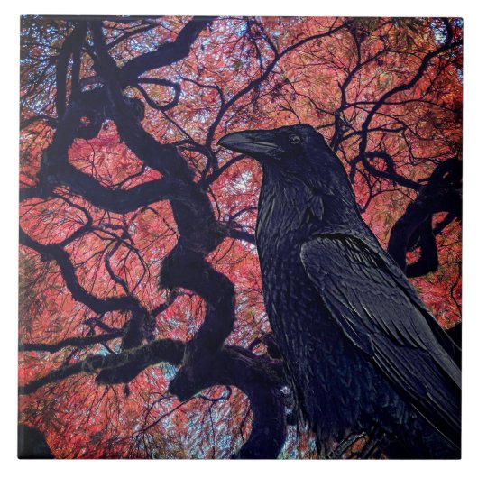 Black Raven und Gnarly Japanese Maple Tree Fliese (Vorderseite)