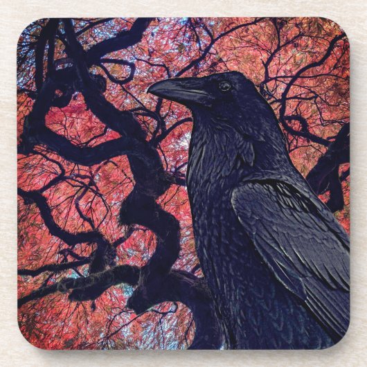Black Raven und Gnarly Japanese Maple Tree Getränkeuntersetzer (Vorderseite)