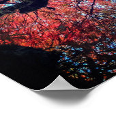 Black Raven und Gnarly Japanese Maple Tree Poster (Ecke)
