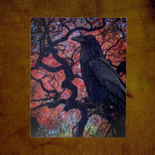 Black Raven und Gnarly Japanese Maple Tree Puzzle