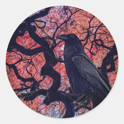 Black Raven und Gnarly Japanese Maple Tree Runder Aufkleber (Vorderseite)