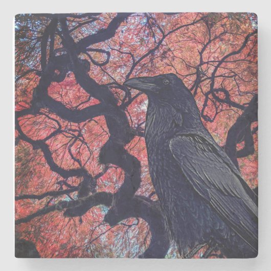Black Raven und Gnarly Japanese Maple Tree Steinuntersetzer (Vorderseite)
