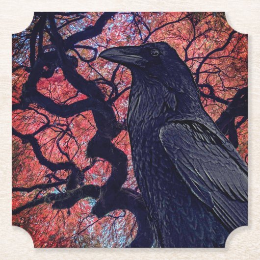 Black Raven und Gnarly Japanese Maple Tree Untersetzer (Vorderseite)