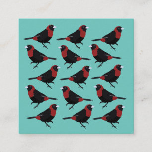 Black Red Crimson Collared Tanager Bird Songbird Quadratische Visitenkarte