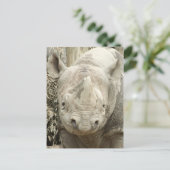 Black Rhinoceros Postcard Postkarte (Stehend Vorderseite)