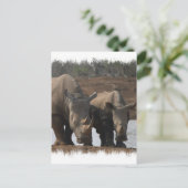 Black Rhinos Postcard Postkarte (Stehend Vorderseite)