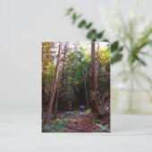 Black Rock Trails, Harriman Staat Park, New York Postkarte (Stehend Vorderseite)