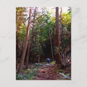 Black Rock Trails, Harriman Staat Park, New York Postkarte