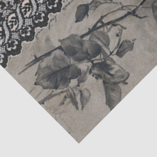 BLACK-ROSE BLACK LACE HALLOWEWEWEW Gewebepapier Seidenpapier (Ausschnitt)