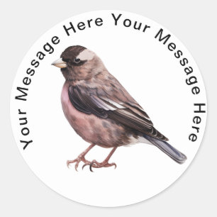 Black Rosy Finch Runder Aufkleber