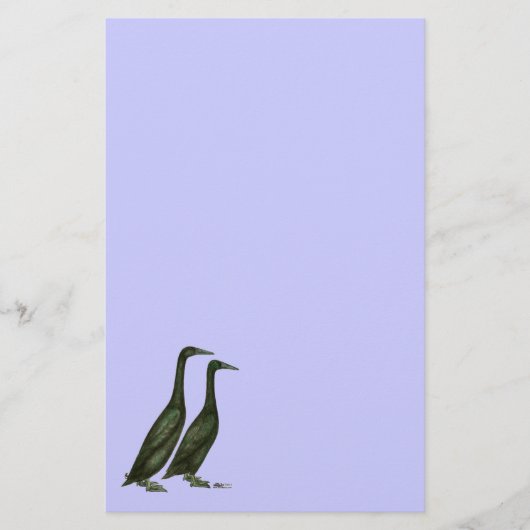 Black Runner Ducks Briefpapier (Vorderseite)