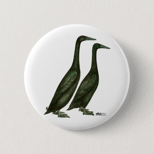 Black Runner Ducks Button (Vorderseite)