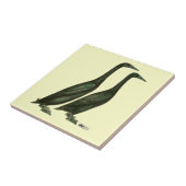 Black Runner Ducks Fliese (Seite)