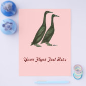 Black Runner Ducks Flyer (Einzeln)