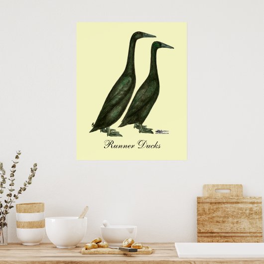 Black Runner Ducks Poster (Küche)