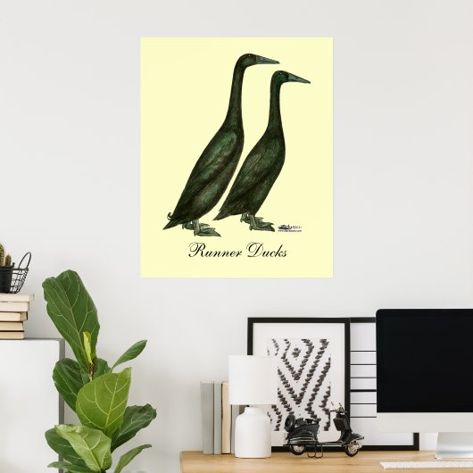 Black Runner Ducks Poster (Heimbüro)