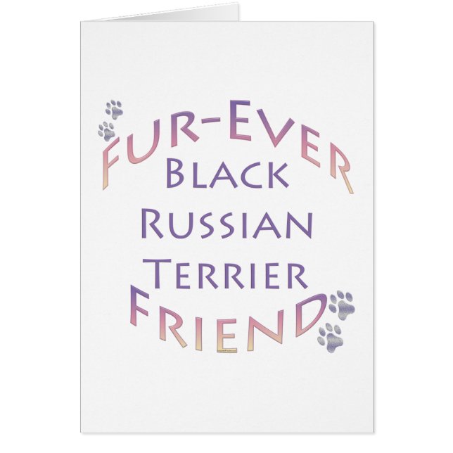 Black Russian Terrier Furever (Vorne)