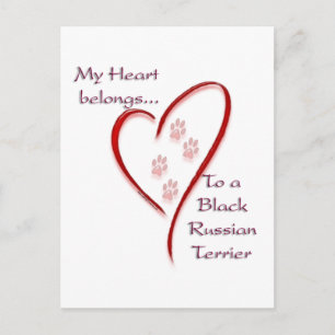 Black Russian Terrier Heart Belongs Postkarte
