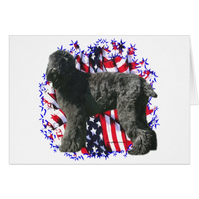 Black Russian Terrier Patriot (Vorderseite (Horizontal))
