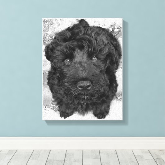 Black Russian Terrier Puppy Leinwanddruck (Insitu (Holzboden))