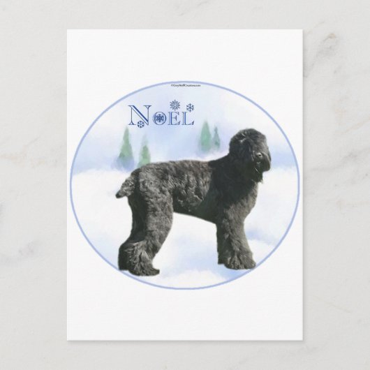Black Russian Terrier Weihnachten (Vorderseite)