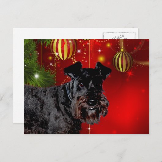 Black Schnauzer Weihnachten (Vorne/Hinten)