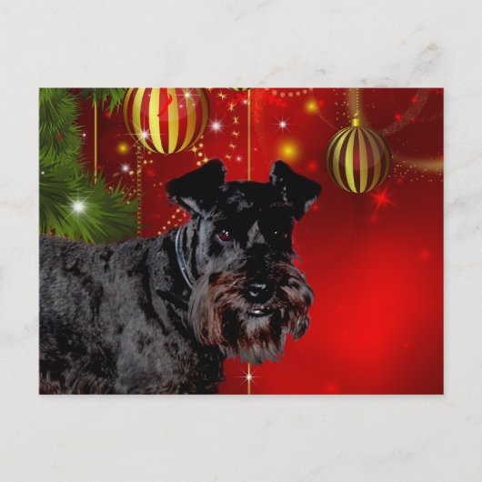 Black Schnauzer Weihnachten (Vorderseite)