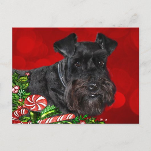 Black Schnauzer Weihnachten (Vorderseite)