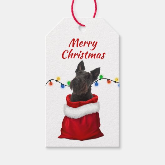 Black Scottish Terrier in Santa Bag Geschenkanhänger (Vorderseite)