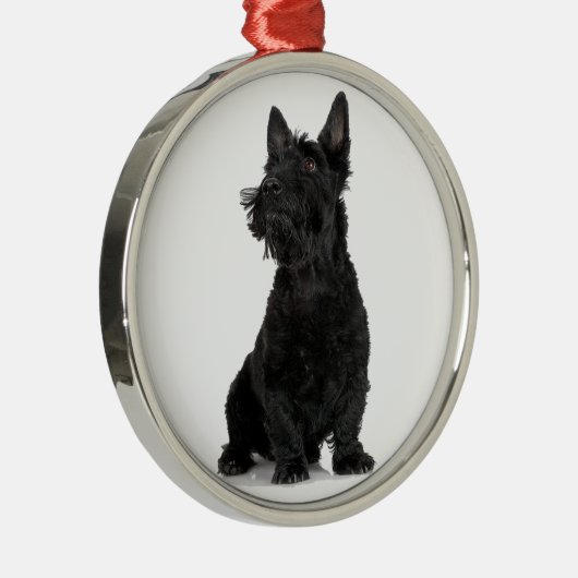 Black Scottish Terrier Ornament Aus Metall (Rechts)