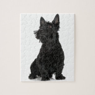 Black Scottish Terrier Puzzle