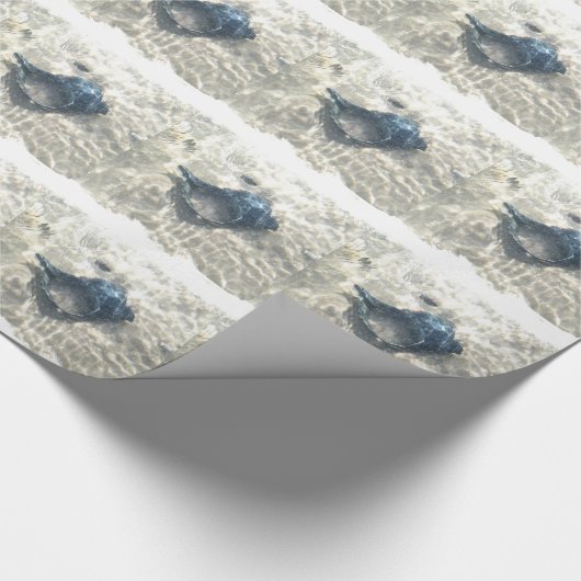 Black Seashell Geschenkpapier (Ecke)
