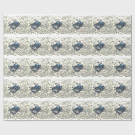 Black Seashell Geschenkpapier (Flach)
