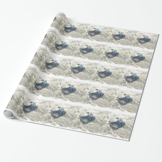 Black Seashell Geschenkpapier (Ungerollt)