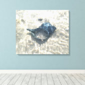 Black Seashell Leinwanddruck (Insitu (Holzboden))