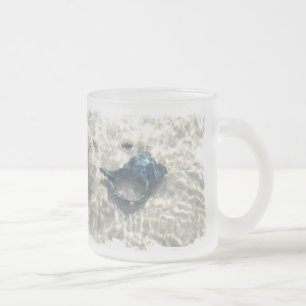 Black Seashell Mattglastasse