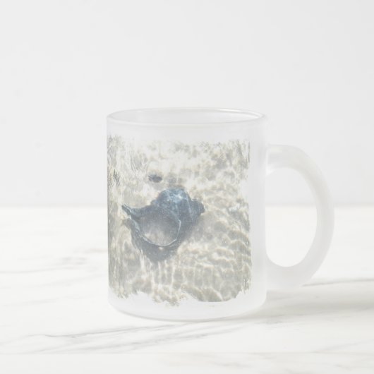Black Seashell Mattglastasse (Rechts)