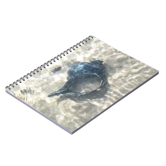Black Seashell Notizblock (Linke Seite)