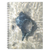 Black Seashell Notizblock (Vorderseite)