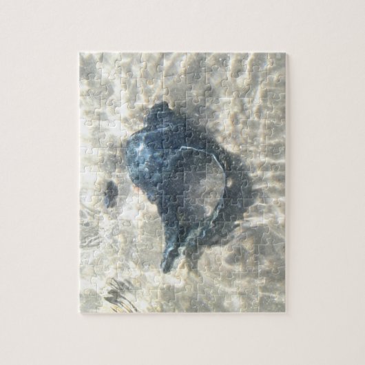 Black Seashell Puzzle (Vertikal)