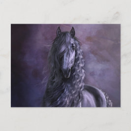 Black Shadow Postcard Postkarte