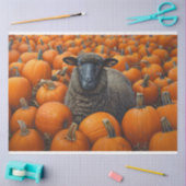Black Sheep Autumn Pumpkin Patch Decoupage Seidenpapier (Basteln)