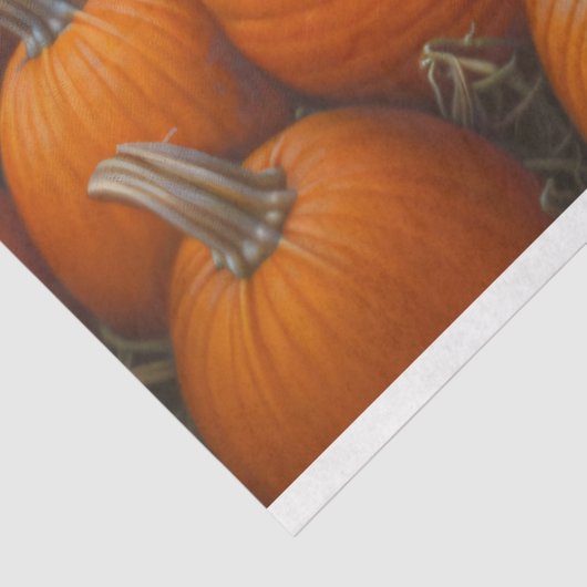 Black Sheep Autumn Pumpkin Patch Decoupage Seidenpapier (Ausschnitt)